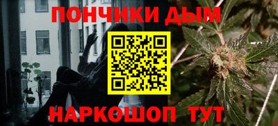 гидропоника Берёзовский