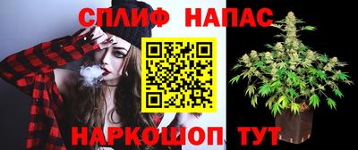 герыч Бийск