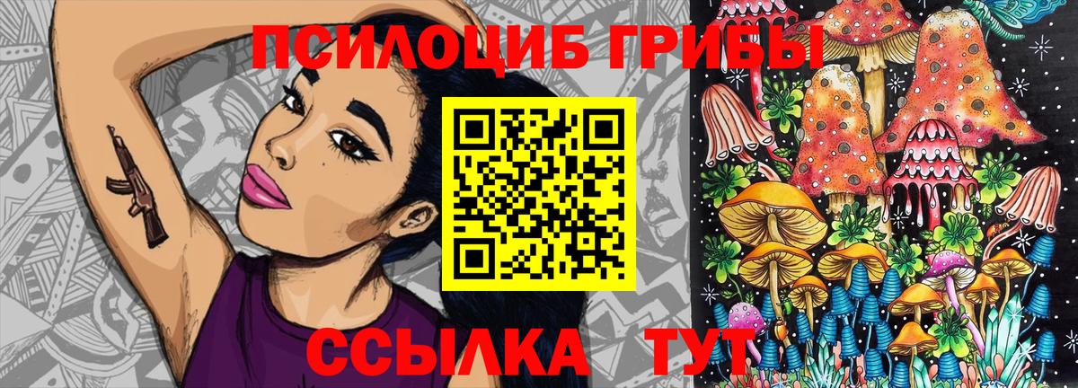 Псилоцибиновые грибы Psilocybine cubensis  Псилоцибиновые грибы прущие грибы  Вход с VPN  Великие Луки 